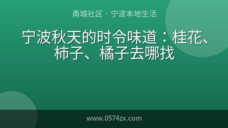 宁波秋天的时令味道：桂花、柿子、橘子去哪找