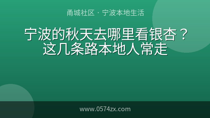宁波的秋天去哪里看银杏？这几条路本地人常走
