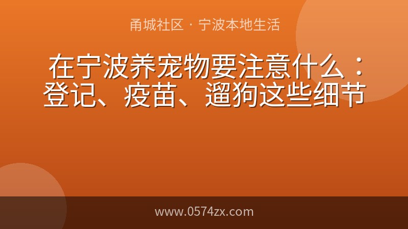 在宁波养宠物要注意什么：登记、疫苗、遛狗这些细节